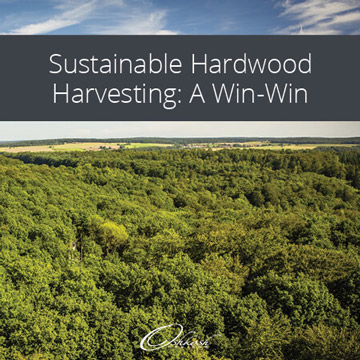 Sustainable Hardwood Harvesting: A Win-Win