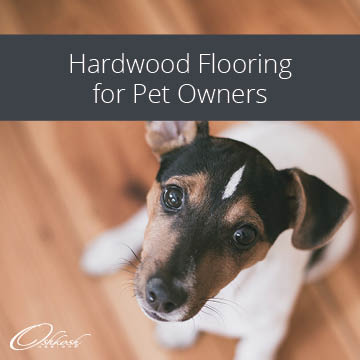 Hardwood Flooring for Pet Owners